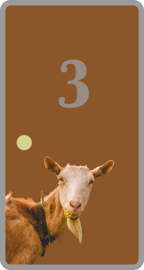 Door Three: closed with goat